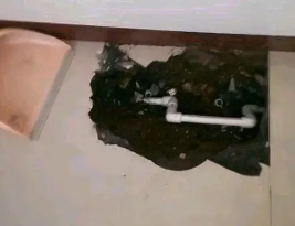 扎兰屯卫生间测漏水多少钱